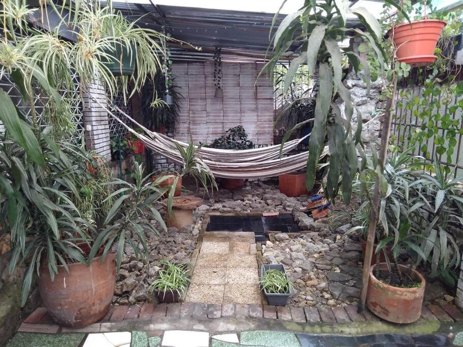 Casa Viva Terraza Ii Bogota