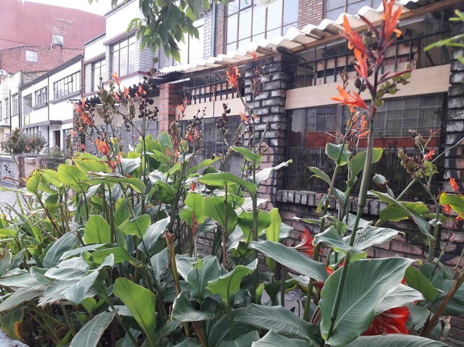 Apartamento Casa Viva Terraza Ii