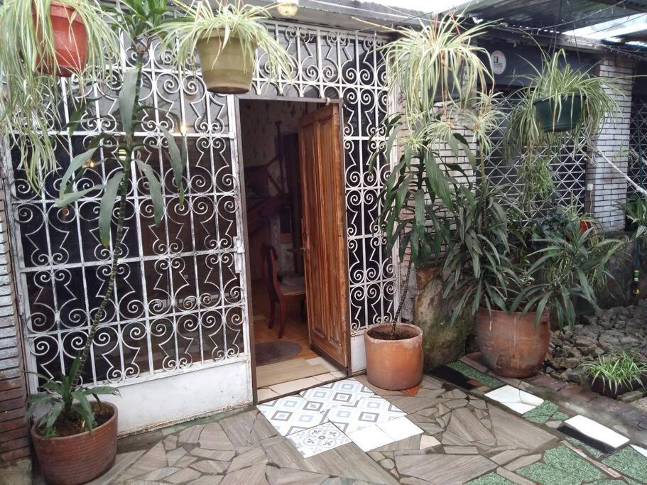 Apartamento Casa Viva Terraza Ii
